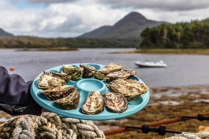Small Group Oyster Tour and Tasting at Ballinakill Bay With David - Group Size and Logistics