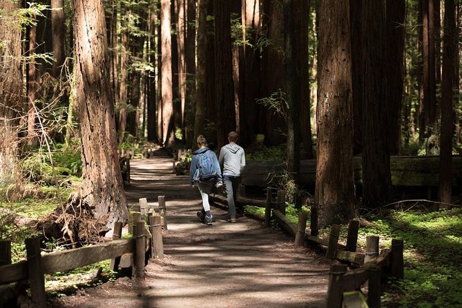 Small Group Redwoods, California Coast & Sausalito Day Trip From San Francisco - Customer Testimonials