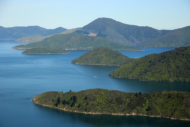 Small-Group Scenic Flight Over Marlborough Sounds From Picton (Mar ) - Customer Experiences
