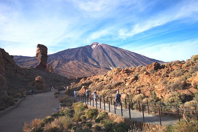 Small Group Teide National Park Volcanic and Forest Wonders - Logistics and Pickup Information
