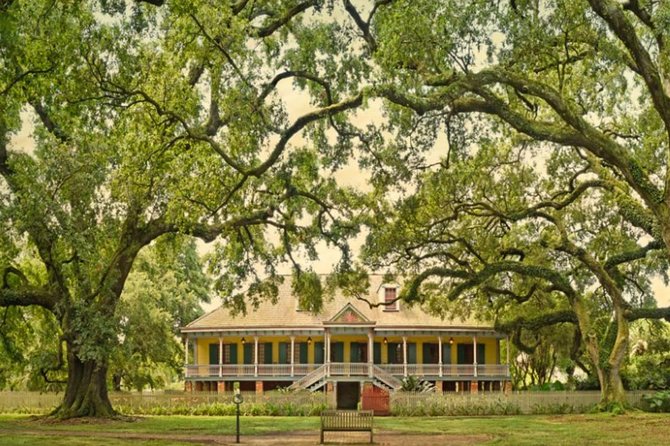 Small-Group Tour of Laura and Whitney Plantation From New Orleans - Tour Highlights