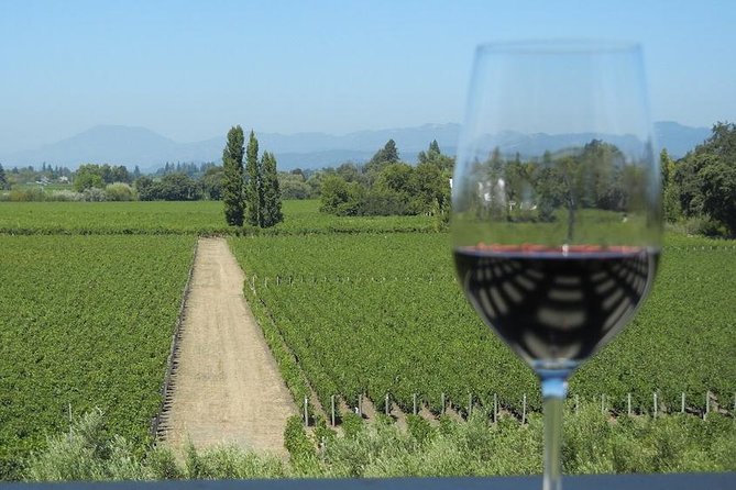 Small-Group Vintage Wine Country Tour to Sonoma and Napa - Customer Reviews: Positive Feedback