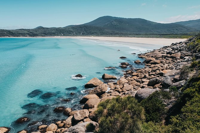 Small Group - Wilsons Promontory Hiking Day Tour From Melbourne - Highlights