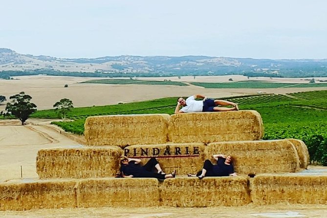 Small-Group Wineries Day Tour With Lunch, Barossa Valley  - Adelaide - Tour Details