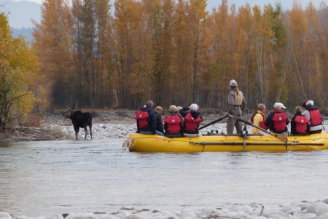 Snake River Scenic Float Trip With Teton Views in Jackson Hole - Booking Information