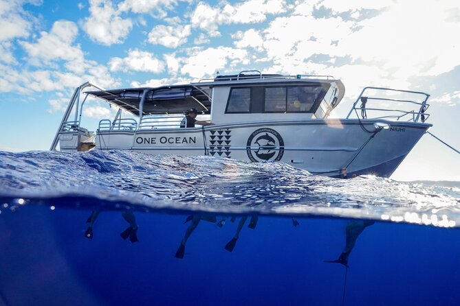 Snorkel and Dive With Sharks in Hawaii With One Ocean Diving - Cancellation Policy