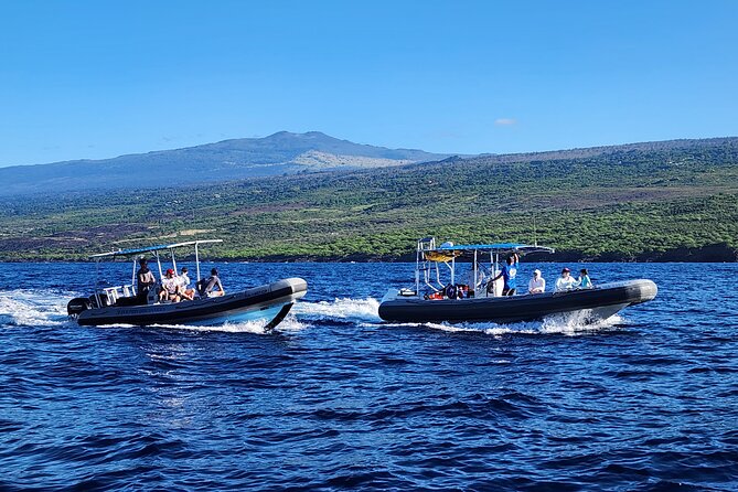 Snorkel Tour to Captain Cook Monument Kailua-Kona, Big Island - Logistics Information