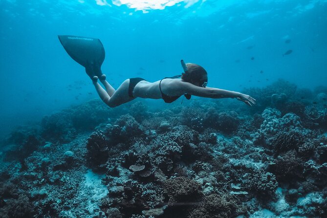 Snorkeling and Freediving Trip Around Nusa Penida - Reviews and Feedback