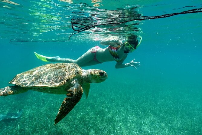 Snorkeling at Silk and Moho Caye - Health and Safety Guidelines