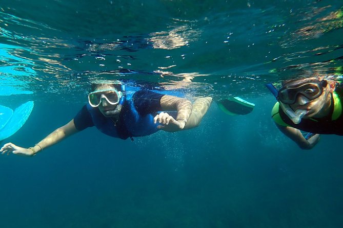 Snorkeling Excursion in Isla De Tabarca - Cancellation Policy