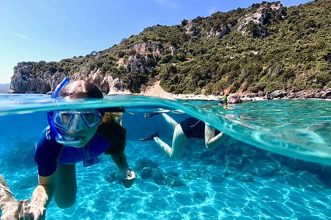 Snorkeling Experience to Discover the Dolphin Inside You! - Expert Guides for Assistance