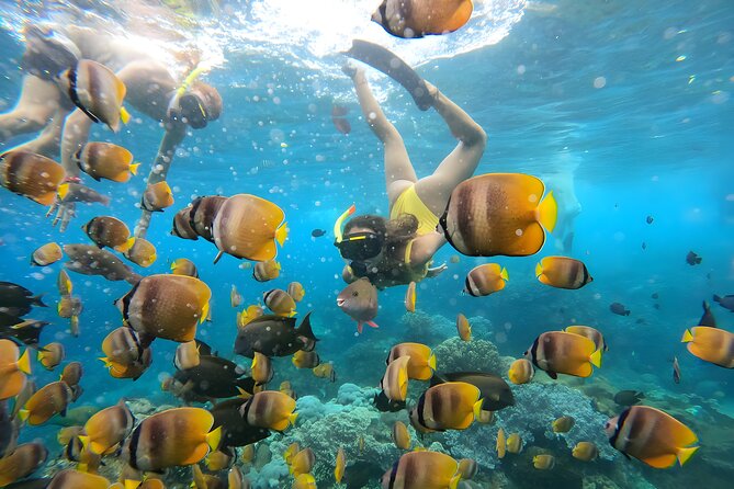 Snorkeling In Nusa Penida Departing From Bali Island - Inclusions and Logistics