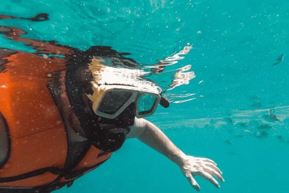 Snorkeling in Port City - Activity Information