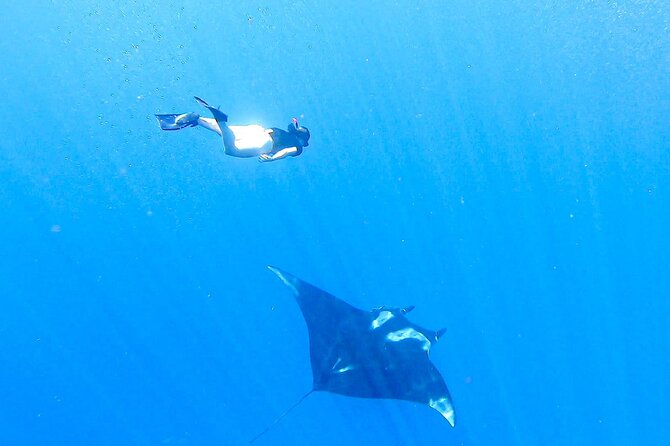 Snorkeling Tour in Caño Island With Lunch - Meeting Point Details