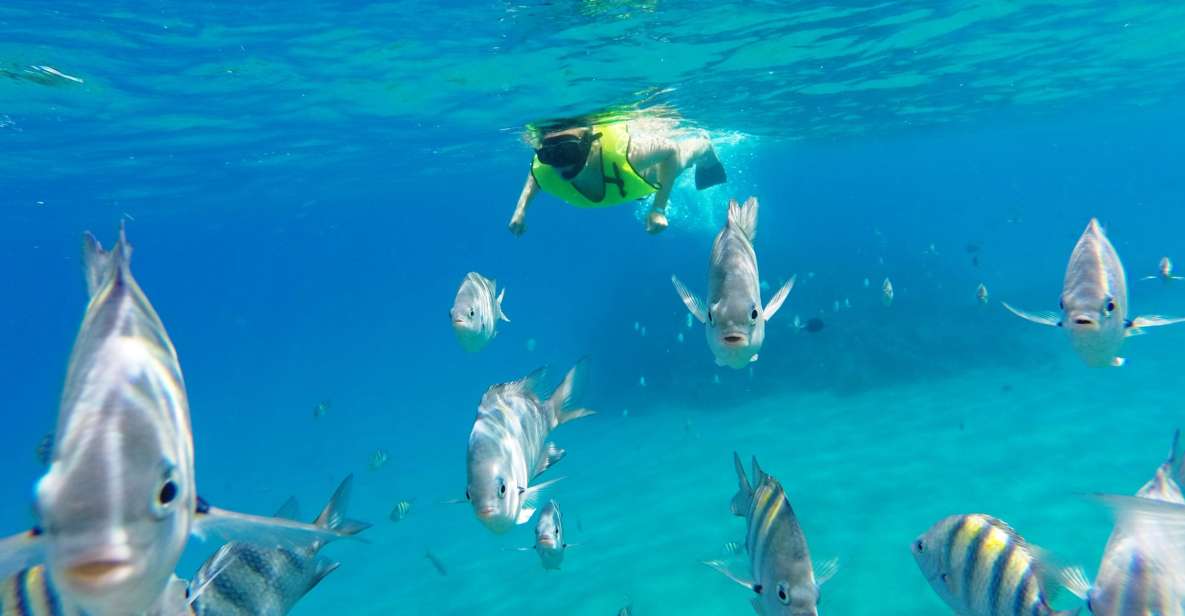 Snorkeling Tour & Sosua Beach Day - Booking Details