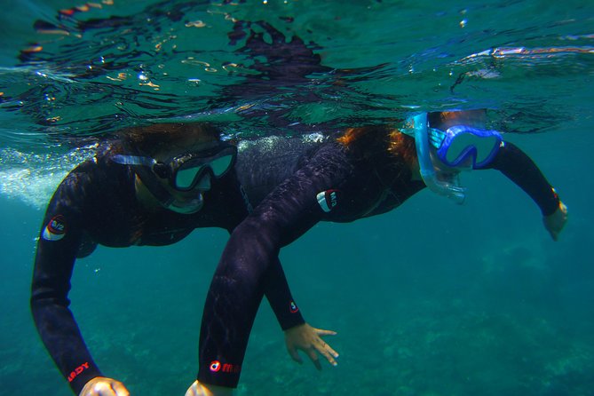 Snorkeling Tour With Sea Turtles and Stingrays - Pricing and Reviews