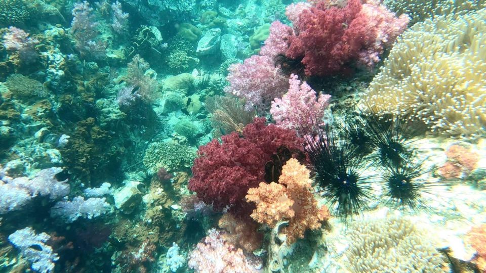 Snorkeling Trip Around Adang - Experience Highlights