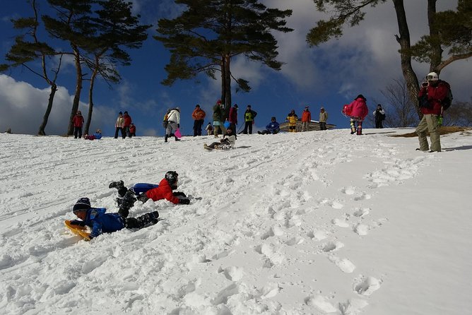 Snow Mountain Hiking to Enjoy With Family! Ice Cream Making Snowshoe - Family-Friendly Snowshoe Adventure
