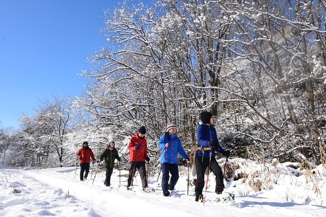 Snowshoe Hike Tour From Sapporo - Pricing Details