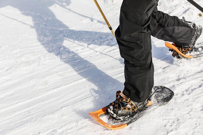 Snowshoe Tour in Winter Wonderland - Oslo - Cancellation Policy