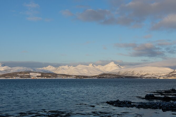 Sommarøy Arctic Day Trip - Wildlife Sightings