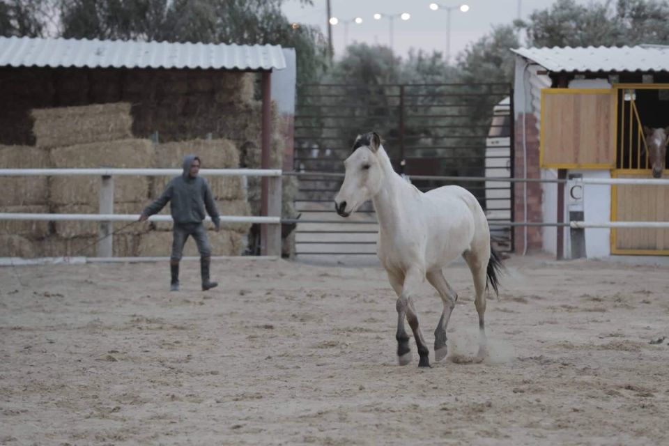 Sousse/Monastir: Private Horseback Riding Trip With Transfer - Experience Highlights