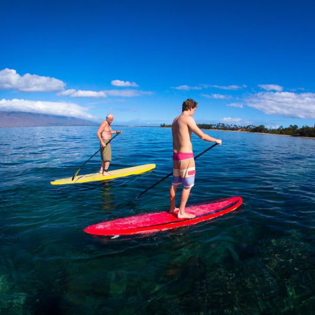 South Maui: Makena Bay Stand-Up Paddle Tour - Experience Highlights