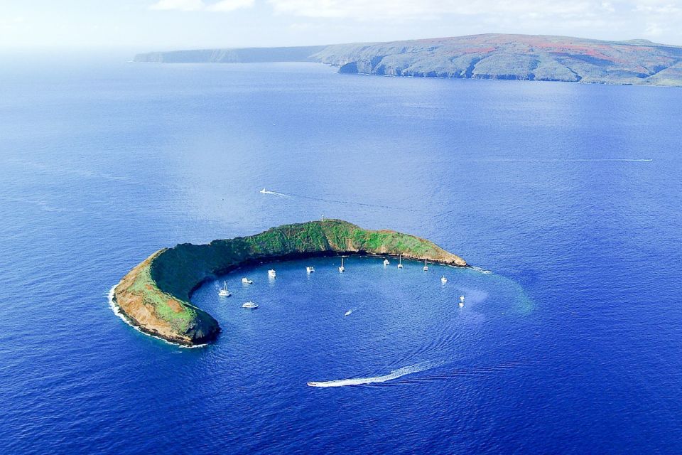 South Maui: Molokini and Turtle Town Snorkeling Tour - Tour Details