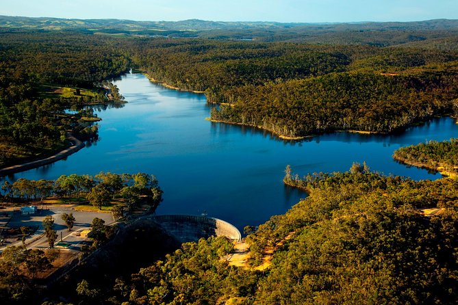 Southern Barossa: 10-Minute Helicopter Flight - Unique Aerial Perspective of Barossa Valley