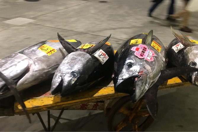 Special Access at Toyosu Fish Market With Hotel Pick up - Logistics and Meeting Details