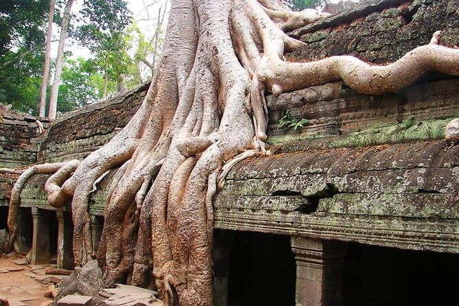 Special Three Days Angkor Tour - Cancellation Policy Details