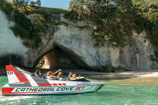 Speed Boat Tour to Cathedral Cove  - Whitianga - Safety Measures