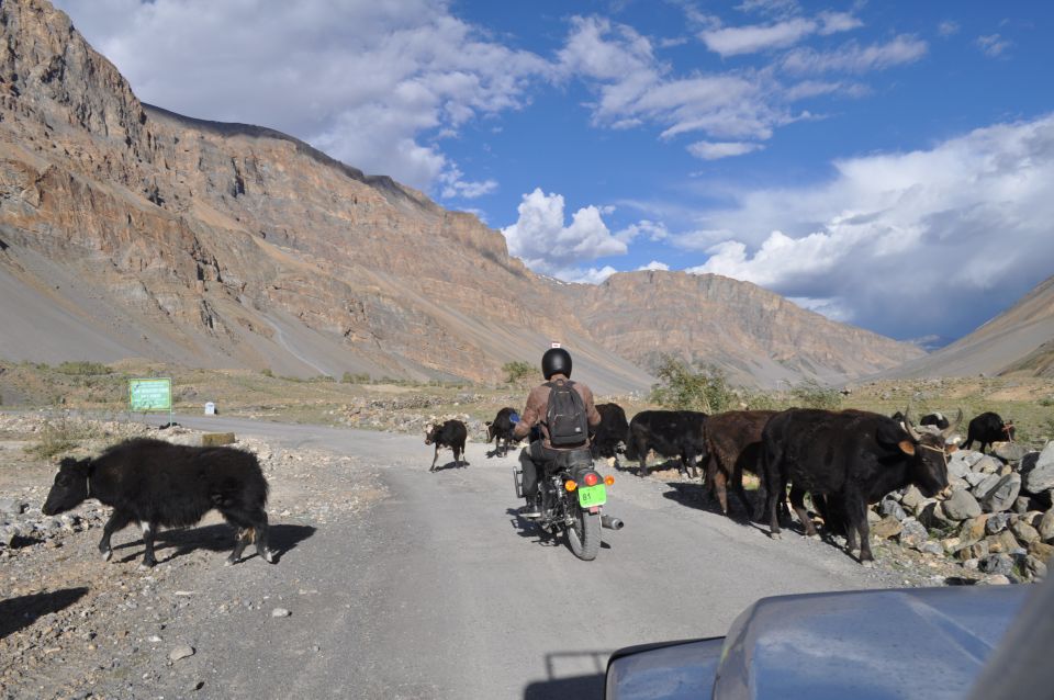 Spiti Motorbike Expedition Ex Chandigarh- India - Immersive Mountain Experience