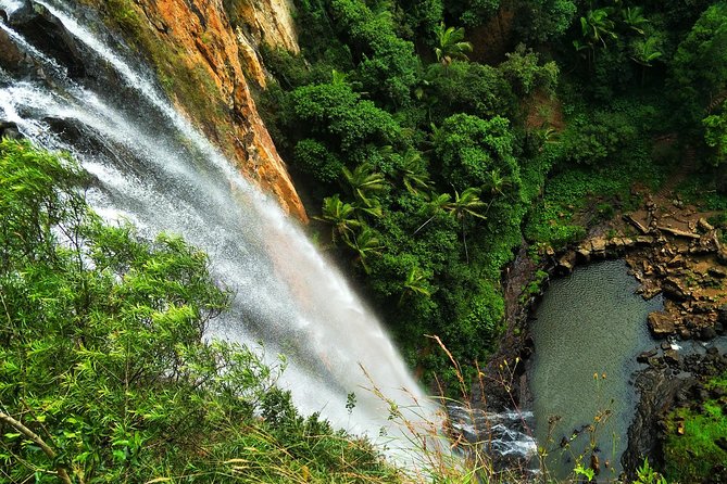 Springbrook National Park Shared Waterfalls Tour  - Surfers Paradise - Inclusions