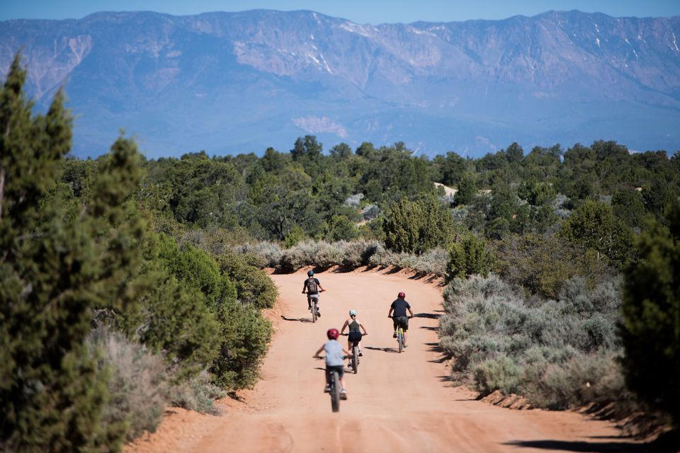 Springdale: Half-Day Mountain Biking Adventure - Experience Description