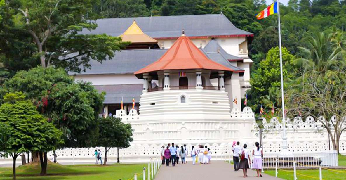 Sri Lanka: Kandy Private Day Tour With Pickup - Pickup and Transportation