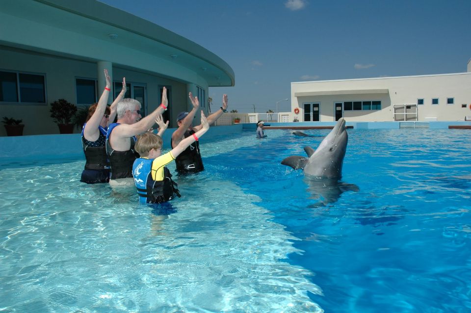 St. Augustine: Marineland Dolphin Encounter - Experience Highlights