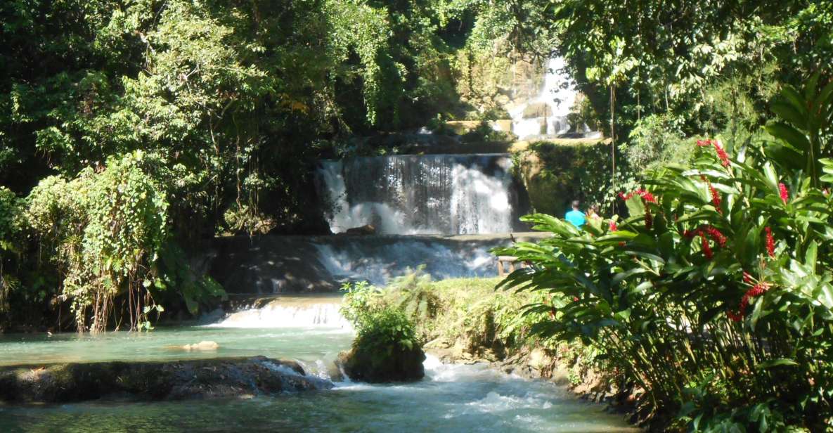 St Elizabeth: River Safari and Y.S. Falls With Lunch - Black River Tour