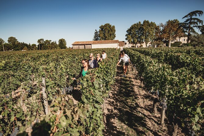 St-Emilion Half Day Morning Tour With Wine Tastings - Expert Guides and Insights