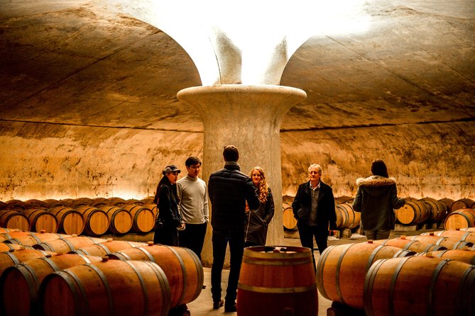 St-Emilion & Médoc Combine Day Tour Including Wine Tastings and Lunch - Wine Tasting Experiences