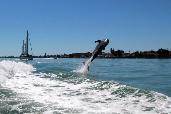St. Pete Beach Dolphin Racer Speedboat Adventure - Cancellation Policy and Additional Info