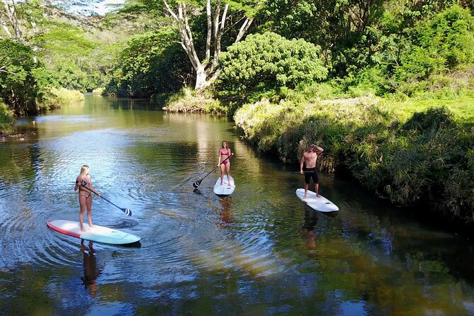 Stand Up Paddle Rental- Wailua River to Secret Falls - Booking Details