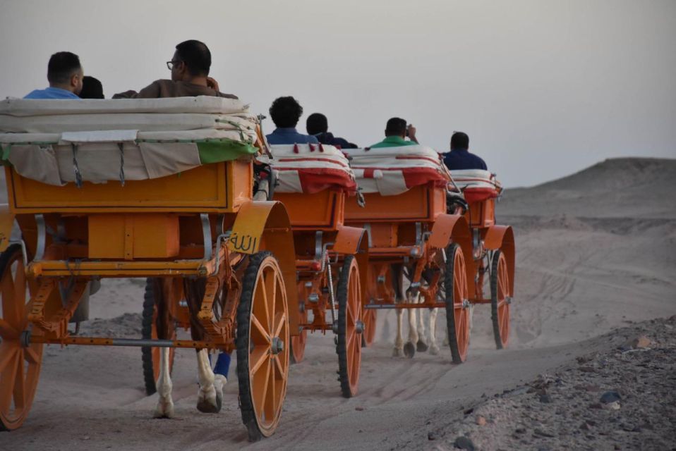 Star Watching in the Desert - Desert Adventure Activities