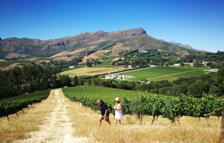 Stellenbosch: 4x4 Winelands Private Experience - Booking Details