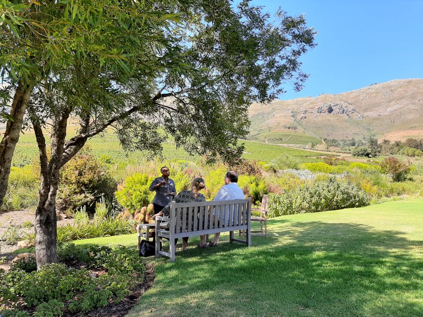 Stellenbosch: Best of the Winelands Private Tour & Tastings - Tour Highlights