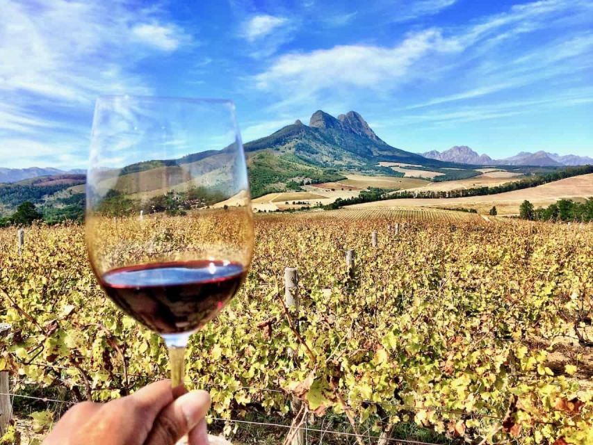 Stellenbosch: Exclusive Wine Tour - Blend & Bottle Own Wine - Experience Highlights