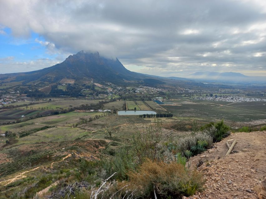 Stellenbosch: Half-Day Guided Nature Hike and Wine Tasting - Booking and Cancellation Policy