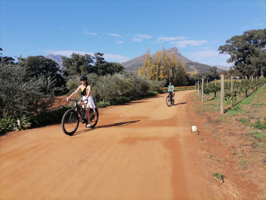 Stellenbosch: Stellenbosch Private E-Bike & Wine Tour - Duration and Guide