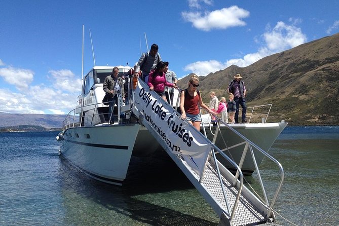 Stevensons Island Cruise and Nature Walk From Wanaka - Itinerary Overview