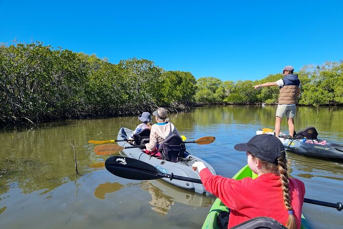 Stingray Kayak Tour on the Noosa River (Mar ) - Inclusions